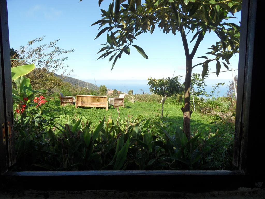 Finca Cueva Del Viento Икод-де-лос-Винос Номер фото